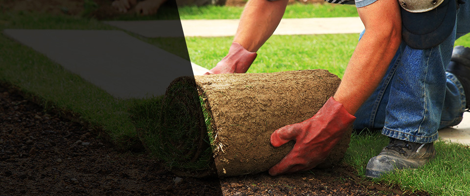 Pass Christian Landscapers